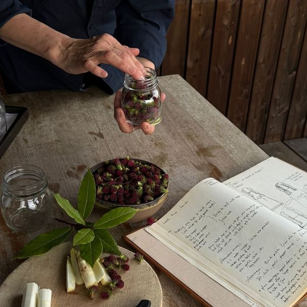 From forest to jar, from nature to nurture, a gathering of flavours with @evyjokhova's recent pickle...