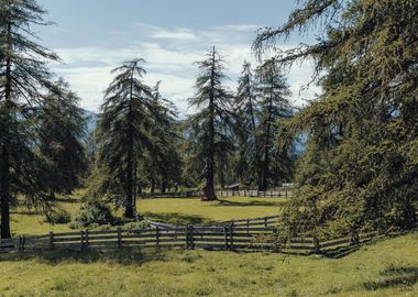 Wellnesshotel Südtirol :: Jenesien entspannt erleben