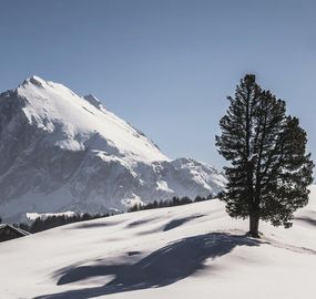 Hotel wellness Alto Adige :: vivere San Genesio relax