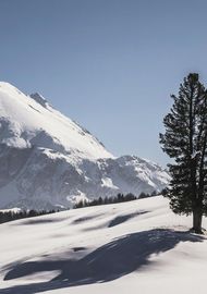 Wellness hotel South Tyrol: In San Genesio/Jenesien