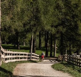 Wellness hotel South Tyrol: In San Genesio/Jenesien