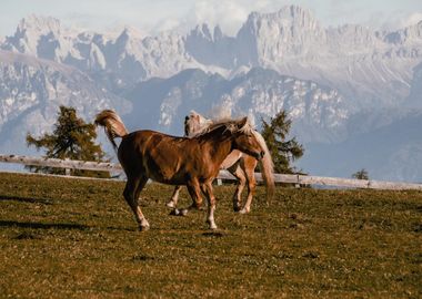 Wellnesshotel Südtirol :: Jenesien entspannt erleben