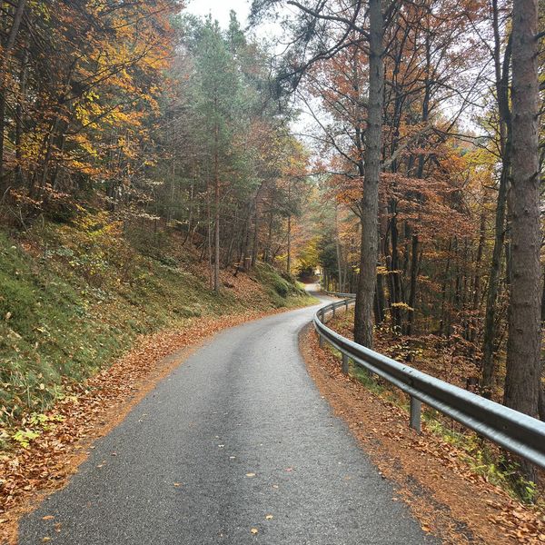 Do less. Do it well. #saltus