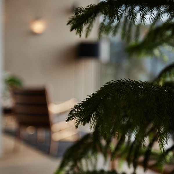 Our lobby bar is a place to lounge and linger. #hotelsaltus #saltus