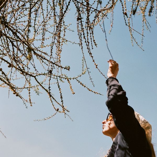 Full of life, full of feeling. 📸 credits by @lottiehampson #Saltus #HotelSaltus #Dolomites...