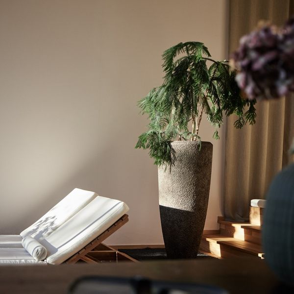 Wellness thinking has never been more important. Here at Saltus we see wellness as a holistic...